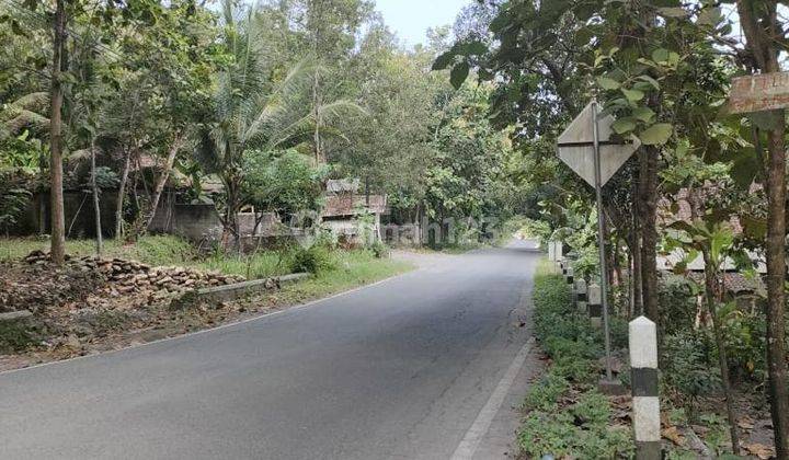 tanah kavling murah dijogja hanya 50juta 5