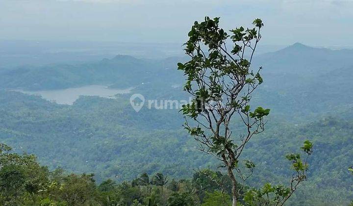 Tanah dijual Destinasi Wisata Bukit Menoreh  2