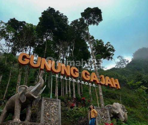 Tanah dijual Destinasi Wisata Bukit Menoreh  5