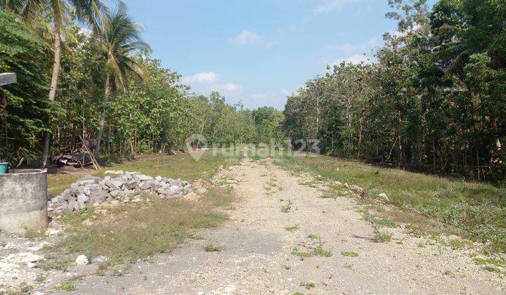 inves tanah murah dijogja luas 120 hanya 70jt 1