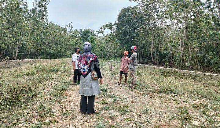 inves tanah murah dijogja luas 120 hanya 70jt 4
