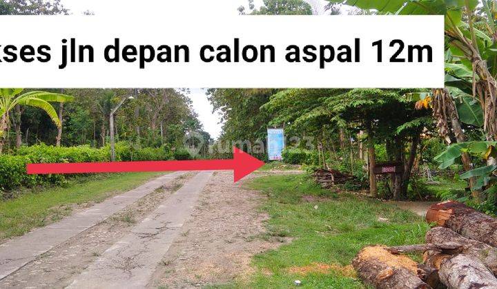 inves tanah murah dijogja luas 120 hanya 70jt 9