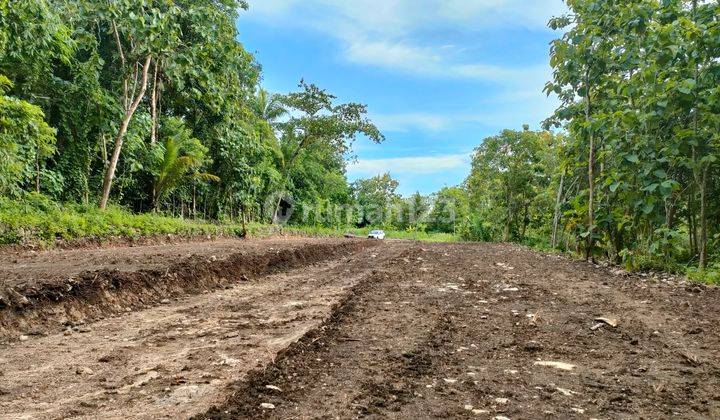 inves tanah dijogja hanya 60juta sudah all ini beres 1