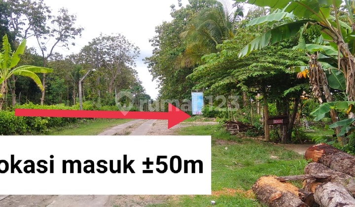 inves tanah dijogja hanya 60juta sudah all ini beres 4