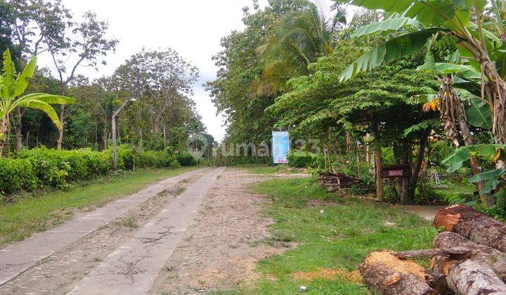inves tanah dijogja hanya 60juta sudah all ini beres 5