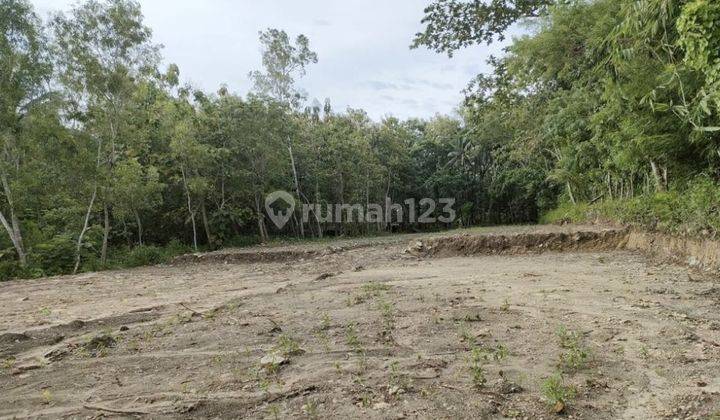inves tanah 60jt dijogja sudah shm 1