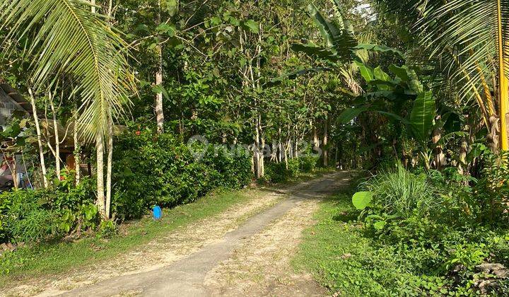 inves tanah 60jt dijogja murah dan sudah shm 4