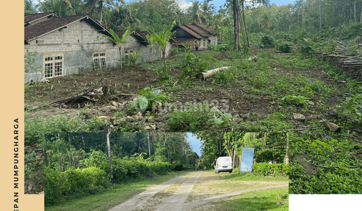 60jt sudah dapat tanah shm dijogja 4
