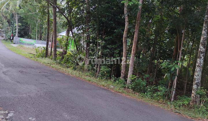 inves tanah pinggir jalan raya dekat kota wates 1