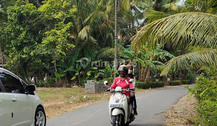 inves tanah pinggir jalan raya dekat kota wates 4