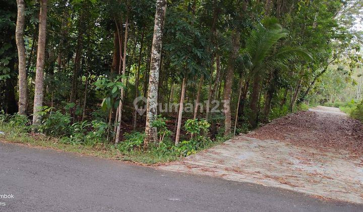 jual tanah murah strategis di kulonprogo dekat kota wates 2