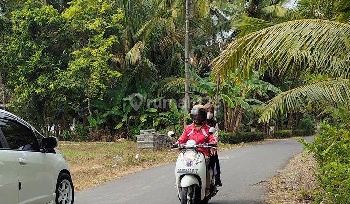 jual tanah murah strategis di kulonprogo dekat kota wates 4