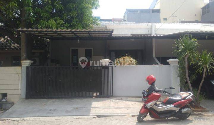 Rumah Murah Di Taman Surya Cengkareng Jakarta Barat 1