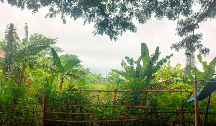 Dijual Tanah Murah Luas di Nol Jalan Raya Sunandar Priyo Sudarmo Blimbing Malang 3