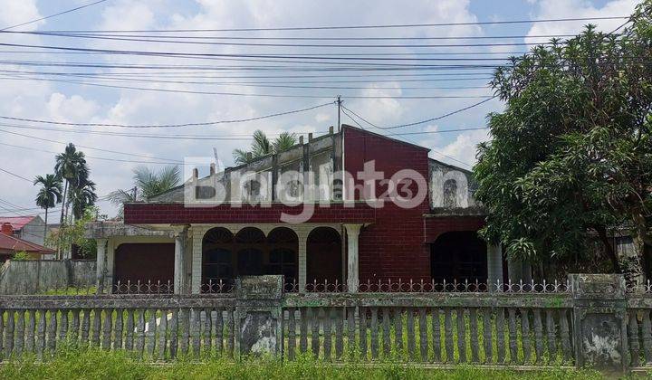 RUMAH DAN HALAMAN LUAS 1