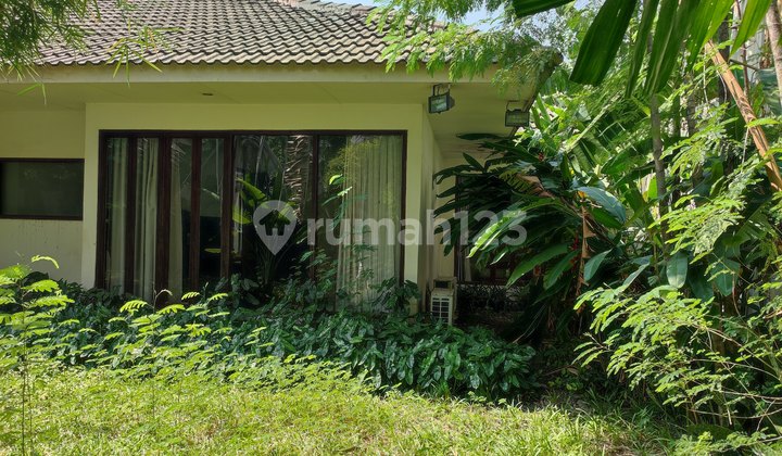 Rumah Lama 1lantai Ada Pool di Area Cipete Jakarta Selatan