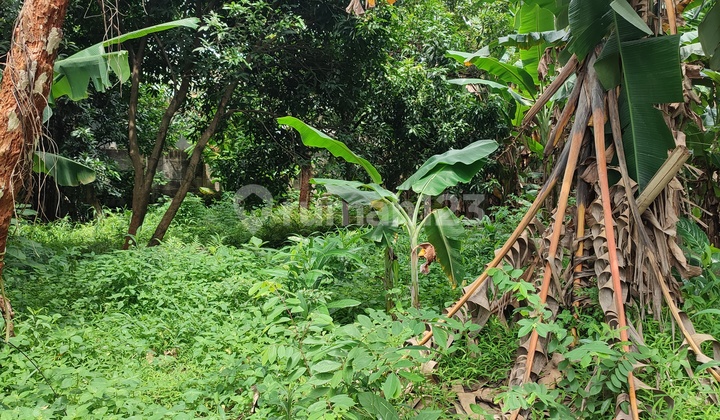 Tanah di Area Jl Titihan Bintaro Jaya Tangerang Selatan