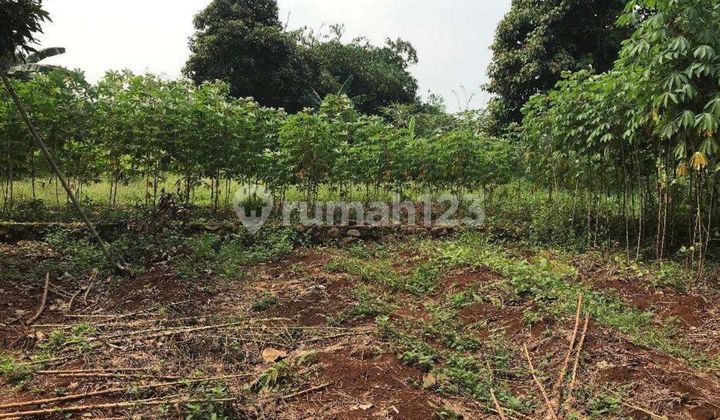 Tanah Dijual Ciangsana Lokasi Strategis Siap Bangun