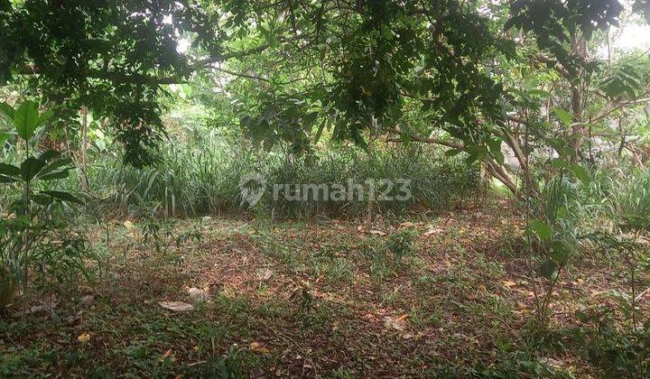 Jual cepat tanah di Jln.mochtar raya sawangan luas 1054 mtr strategis nego sampai deal 2