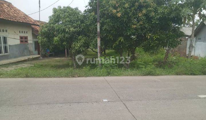 Tanah Dijual Cilamaya Lemahabang Karawang Luas 450 Mtr Strategis Pinggir Jalan 1