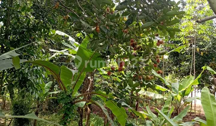 Land for Sale Next to Mm2100 Industrial Area Cibening Bekasi