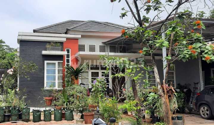 Dijual Rumah Cibubur Country Luas Asri Siap Huni Dijual Rumah Cibubur Country Luas Asri Siap Huni