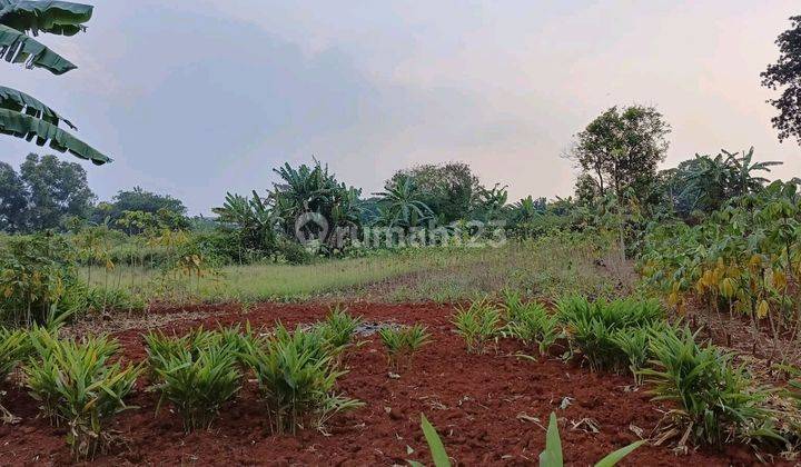 Tanah Dijual Di Bojong Nangka Gunung Putri Bogor Luas 1260 Mtr Shm 1