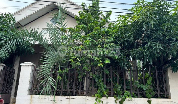 Dijual Rumah Bukit Cengkeh Cimangfis Depok Strategis Dijual Rumah Bukit Cengkeh Cimangfis Depok Strategis