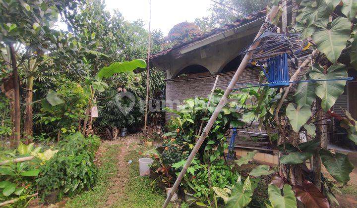 Jual Cepat Tanah Dan Bangunan Luas 1772 Mtr Siap Huni Strategis Jual Cepat Tanah Dan Bangunan Luas 1772 Mtr Siap Huni Strategis