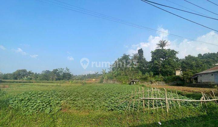 Tanah 2099 m² SHM Situ Daun Tenjolaya Bogor Cocok Untuk VILLA Harga Nego 1