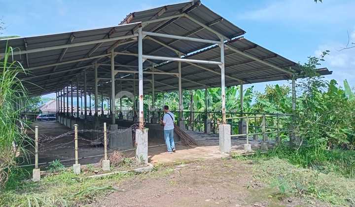 Land for Quick Sale in Nanggung, Bogor Regency, Area 4500m²