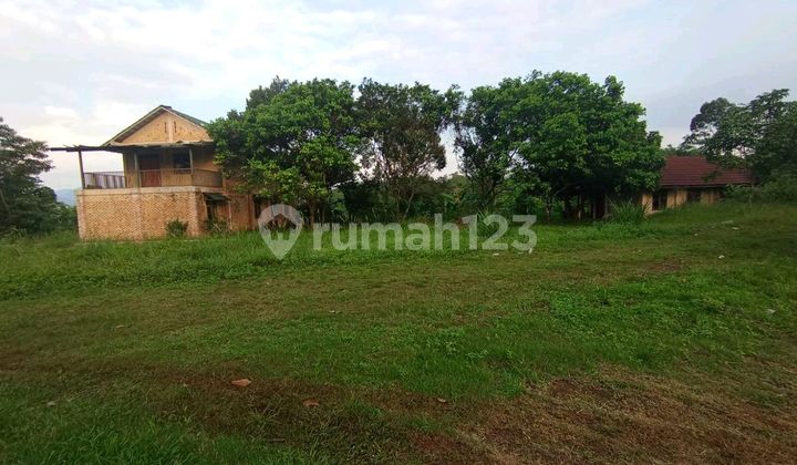 Dijual Tanah 20 Ha Jonggol Jawa Barat Cocok Untuk Perkebunan Dan Peternakan