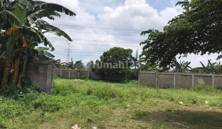 Tanah Pinggir Jalan Raya Cikeas 1816 Mtr Strategis Harga Nego 2