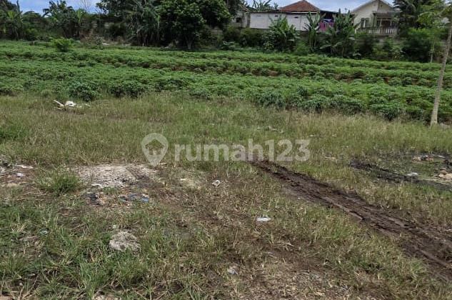 Dijual Tanah Parung Bogor Dekat Pendopo 45 Resort Dijual Tanah Parung Bogor Dekat Pendopo 45 Resort