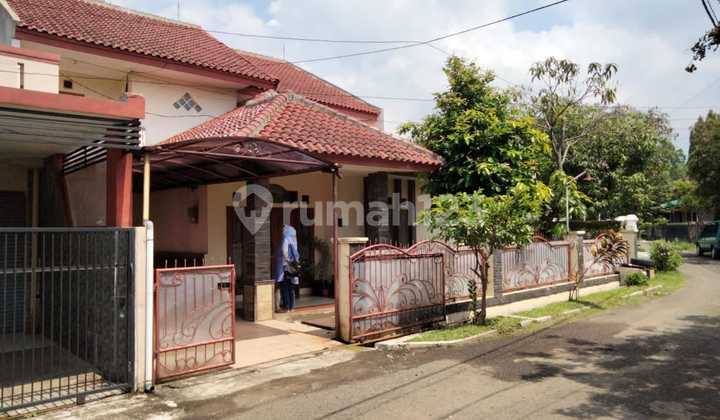 Arcamanik Large House 2