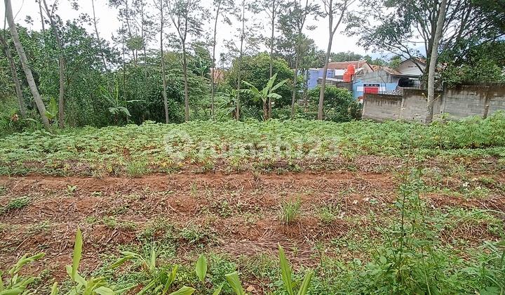 Land/Plot in D P R Complex Ready to Build Land/Plot in D P R Complex Ready to Build
