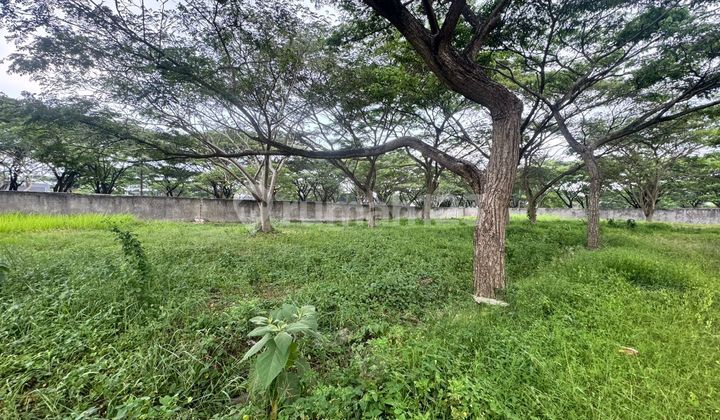 Land Plot Visenda Residence Cluster Ivy Strategic Land Plot Visenda Residence Cluster Ivy Strategic