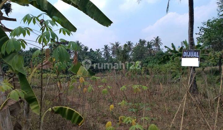 Tanah Luas Waringinkurung Dekat Gading Park 1