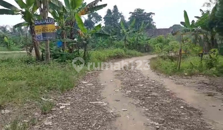 Tanah Kp Cidadap Cipocok Jaya Nego Sampai Jadi Tanah Kp Cidadap Cipocok Jaya Nego Sampai Jadi