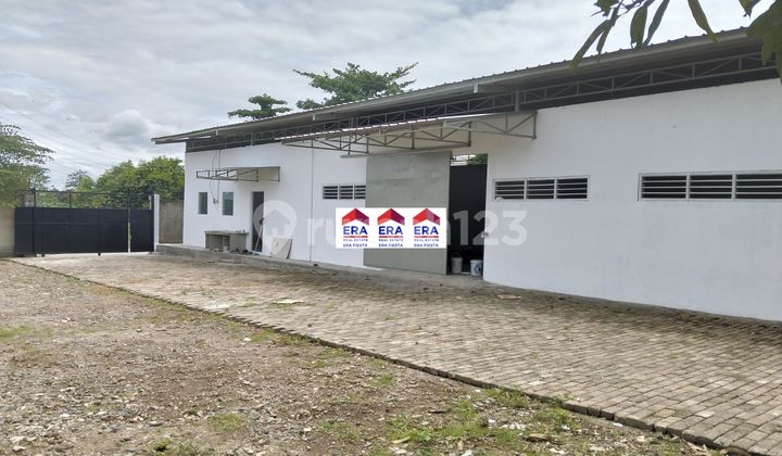 Independent Warehouse with Mess, 40 Ft Access Ready to Use in Bitung Cikupa. Independent Warehouse with Mess, 40 Ft Access Ready to Use in Bitung Cikupa.