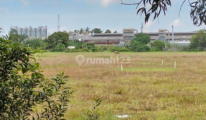 Kavling Bagus Zona Industri Kawasan Pancatama Cikande Serang 1