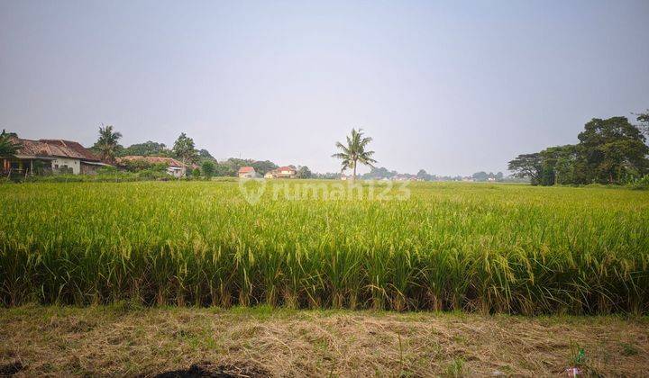 Kavling Kp. Cipaeh Gebang Kec. Kresek Kab. Tangerang 2