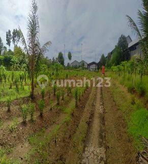 Gudang Siap Pakai Akses Container 40 Ft di Jalan Provinsi Cikande 2