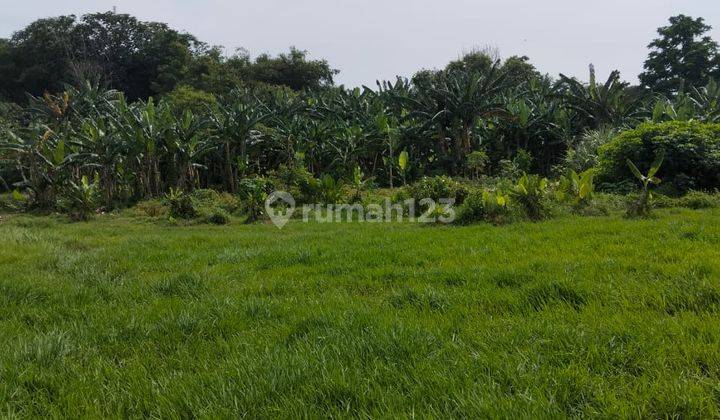 Kavling Strategis Dekat 3 Pintu Tol di Wanaherang Cileungsi  1