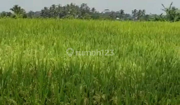 Land in Sebatu Tegalalang Village, Ubud  1