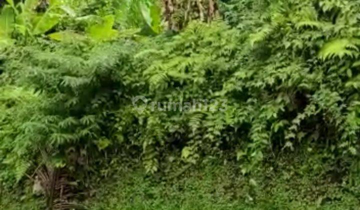 Land in Sebatu Tegalalang Village, Ubud  2