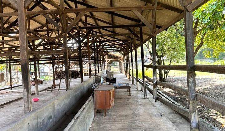 Tanah bonus bangunan di Jl Raya Puspitek Serpong 