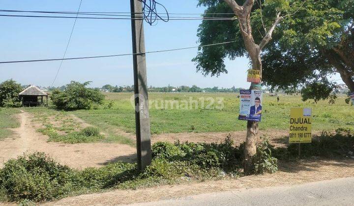 Tanah di Jl Raya Kedaung Babelan Bekasi Utara  1