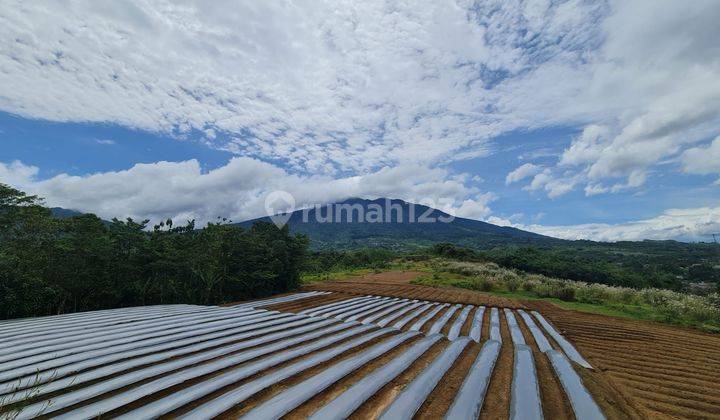 Tanah di Cicurug Sukabumi SHM 1