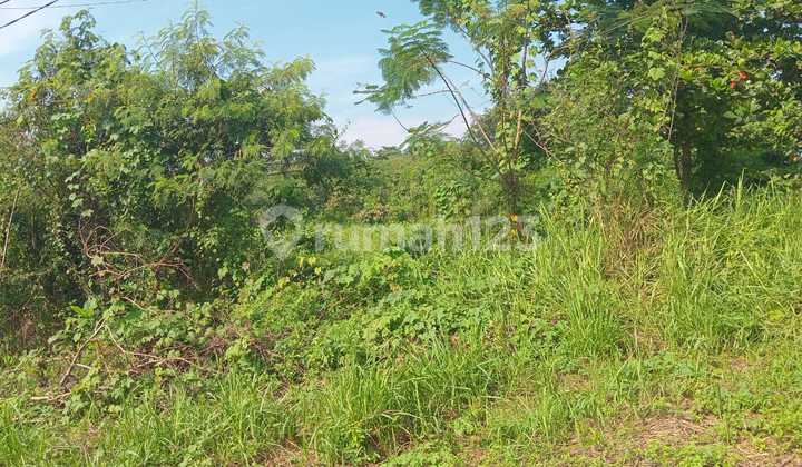 Tanah Kawasan Modern Cikande 